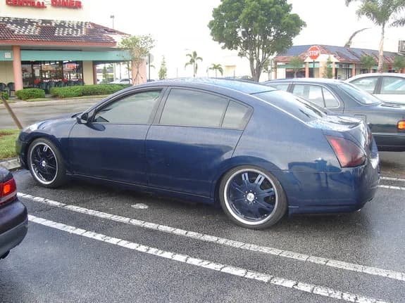 2005 Nissan Maxima garage profile 2005 Nissan Maxima owned by skeptikl — similar build on CarCultureHQ