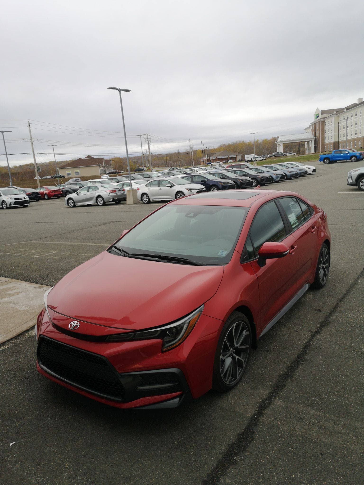 Toyota Showoff of the Week — 2020 TOYOTA Corolla