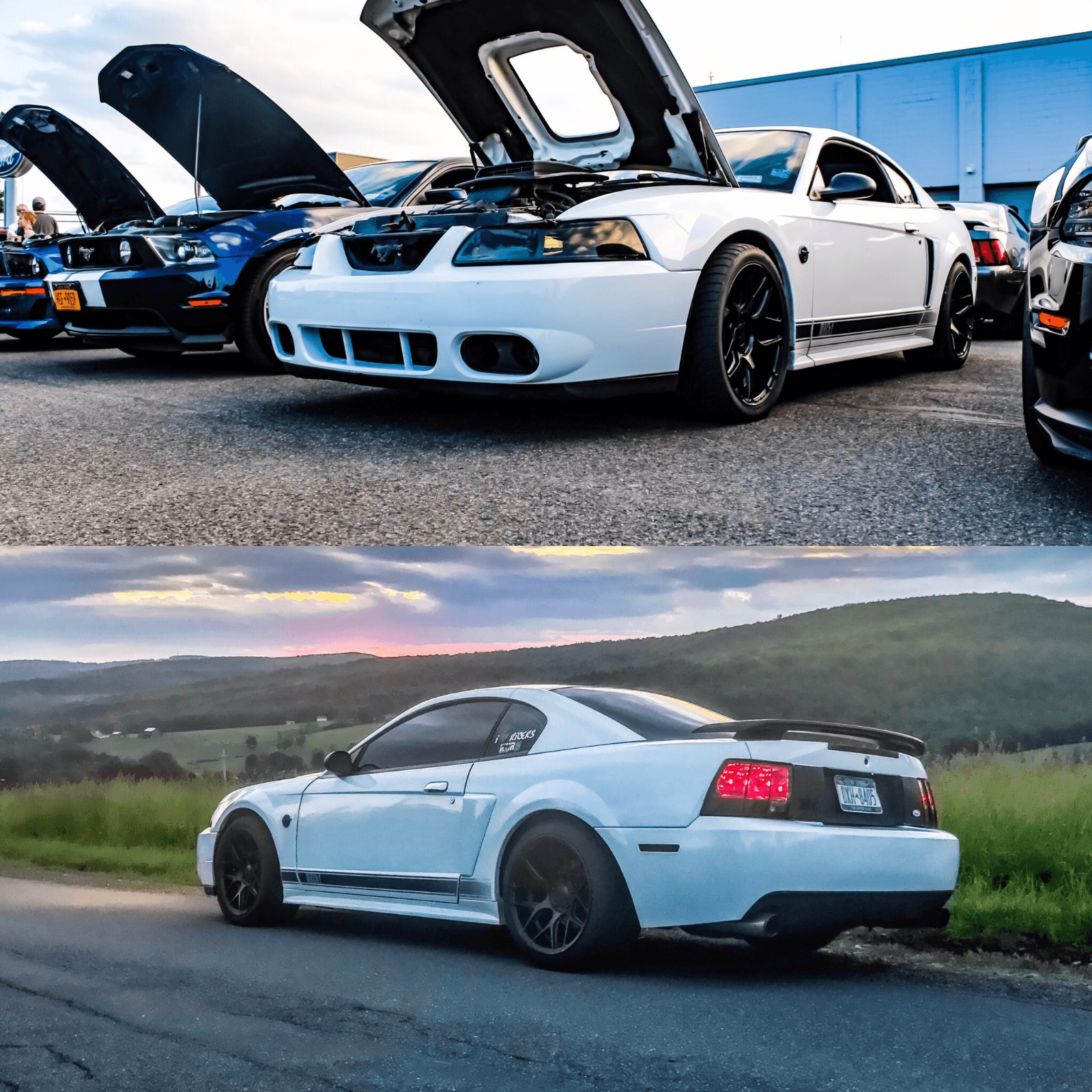 2004 Ford Mustang